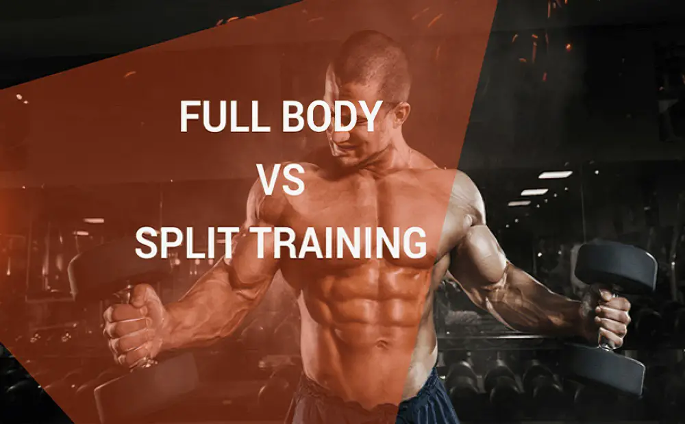 Full-Body Workouts vs. Split Routines